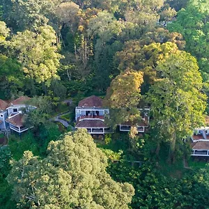 The Tall Trees 4* Munnar
